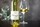 Download 2022 Fiano